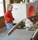 Hundetrainer Nick in Aktion * 456 x 480 * (31KB)
